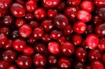 berry-diet-backdrop-eating-background-cranberry_121-22024.jpg